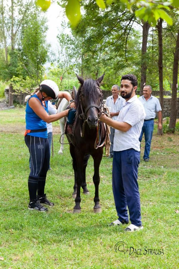 Кемпинги Golden Horse Riding Center Kiş-22