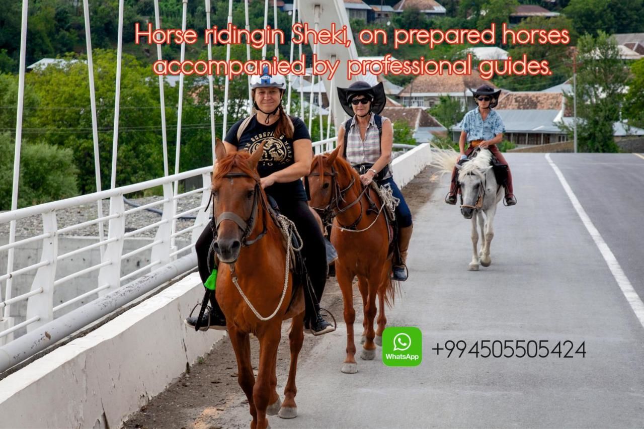 Кемпинги Golden Horse Riding Center Kiş-5