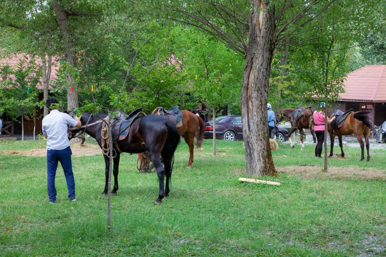 Кемпинги Golden Horse Riding Center Kiş-8