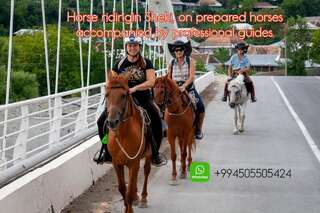 Кемпинги Golden Horse Riding Center Kiş-1