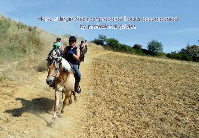 Кемпинги Golden Horse Riding Center Kiş-5